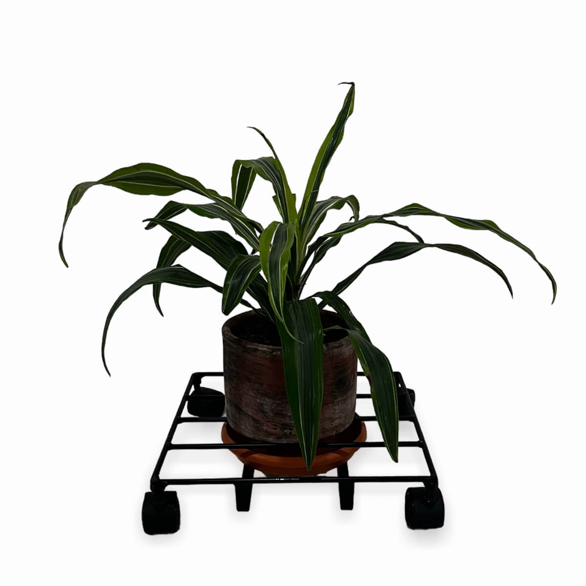 Modelo Camila Base para maceta con porta plato con rueda de 30×30 cm con marco sencillo - Imagen 5